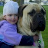 DBCNZ Image 1