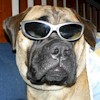 DBCNZ Image 12
