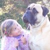 DBCNZ Image 17